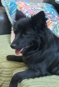 Mavis aka MaeMae - Photo 1