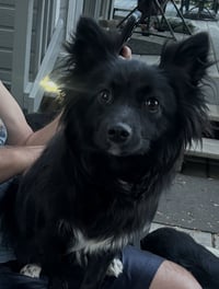 Mavis aka MaeMae - Photo 2