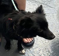 Mavis aka MaeMae - Photo 4