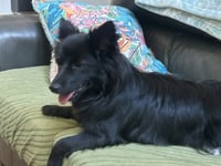 Mavis aka MaeMae - Photo 5