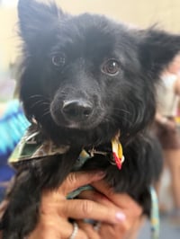 Mavis aka MaeMae - Photo 6