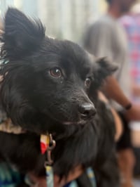 Mavis aka MaeMae - Photo 7