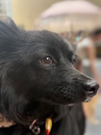 Mavis aka MaeMae - Photo 8
