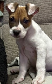 Elliott - Photo 3
