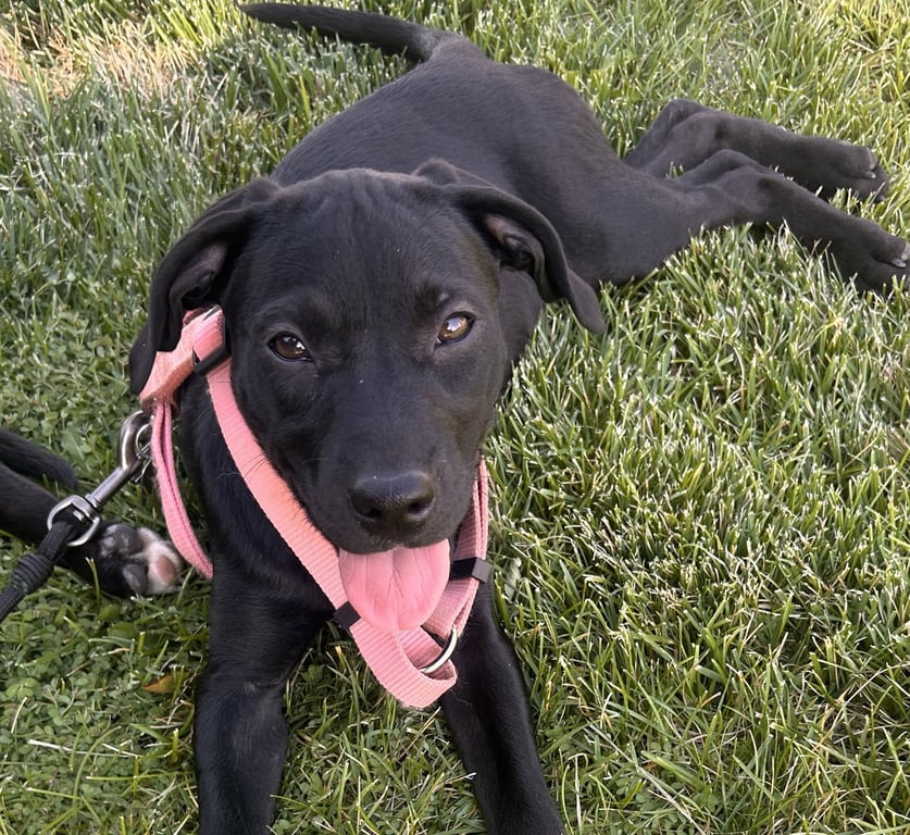 Etta Mae Image