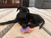 Etta Mae - Photo 4