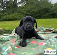 Etta Mae - Photo 5
