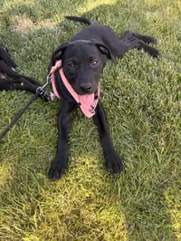 Etta Mae - Photo 6