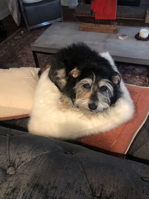 Ludwig Courtesy Listing - Photo 3