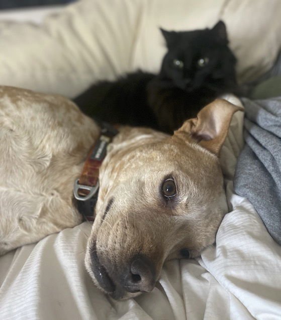 Drakey Drake McDrakerson Courtesy Listing - Photo 5