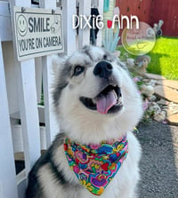 Dixie Ann - Photo 4