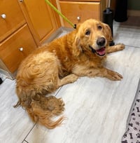 Chonk (NOT YET AVAILABLE) - Photo 1