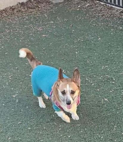 Loe-In Foster - Photo 3