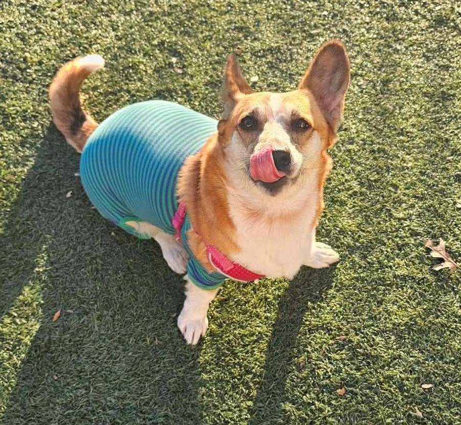 Loe-In Foster - Photo 4