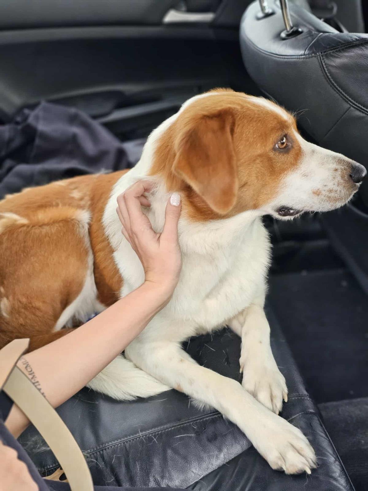 Winn-Dixie - Photo 3