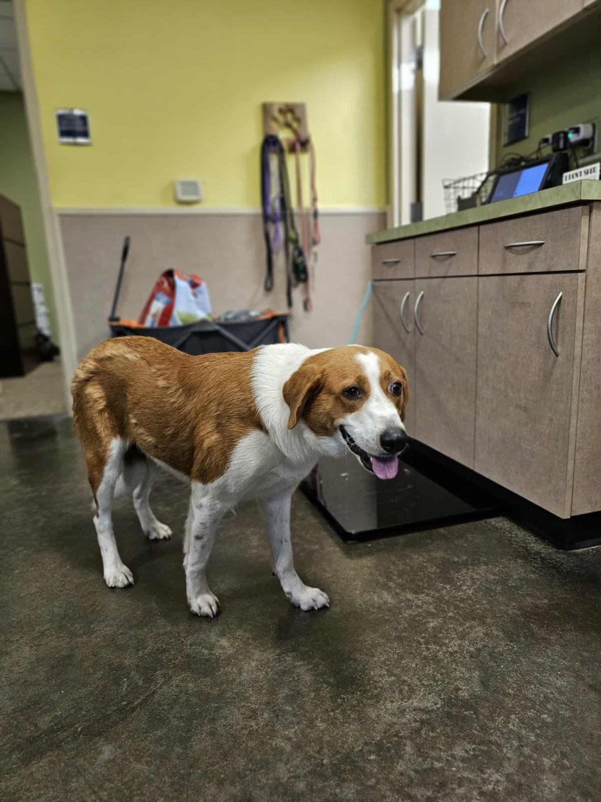 Winn-Dixie - Photo 4