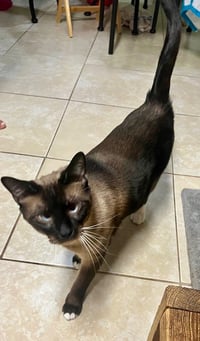 Charlie - Photo 2