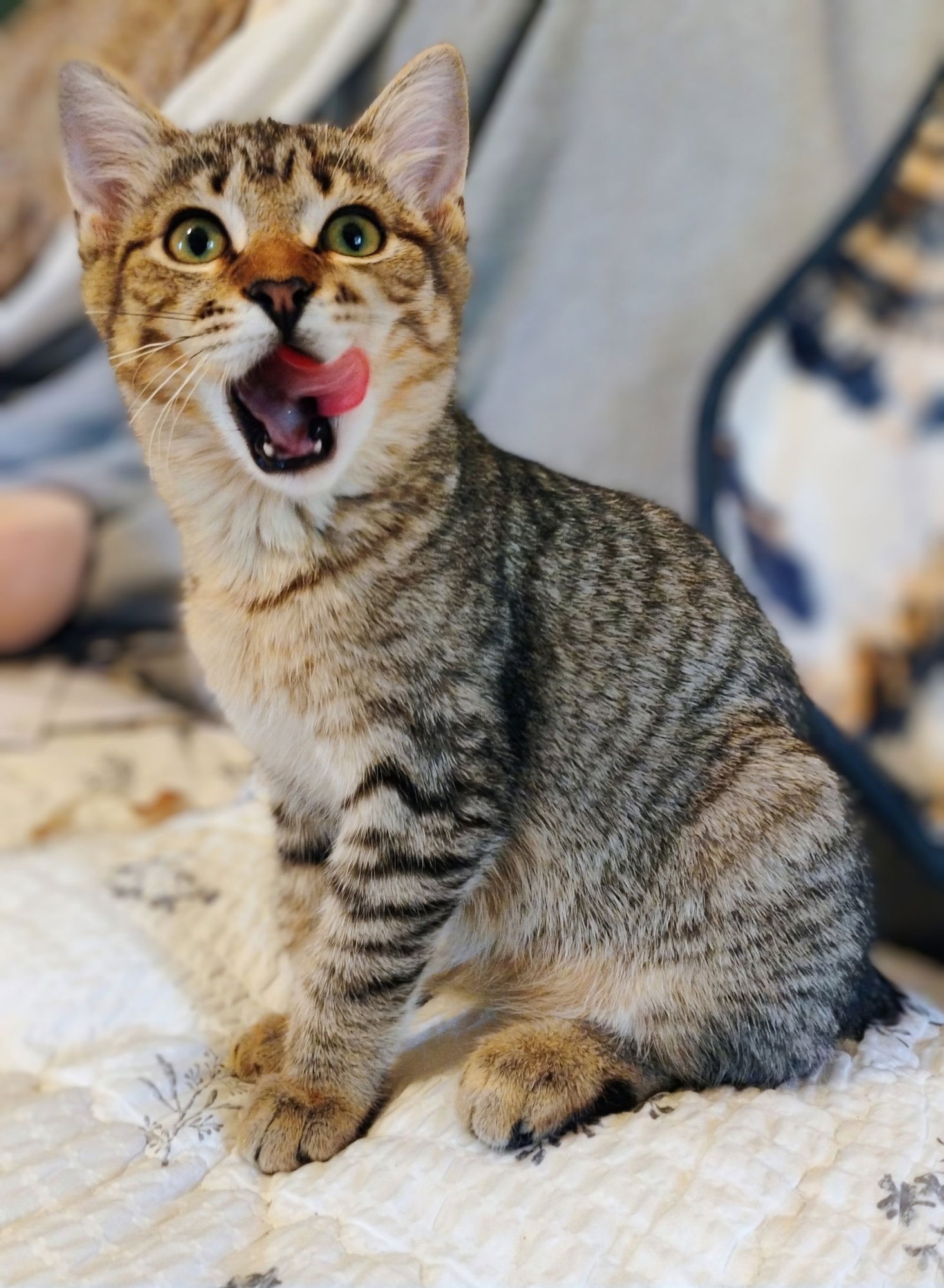 Ivan (& see sis Camelia) - Photo 3