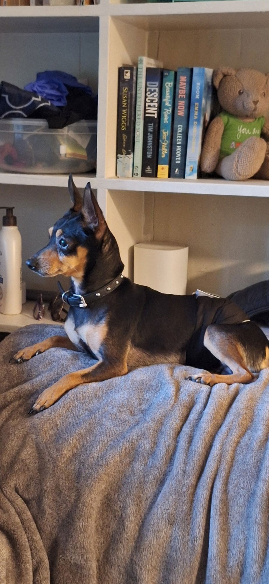 Little Guy - Photo 3