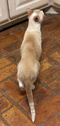 Betty - Photo 3