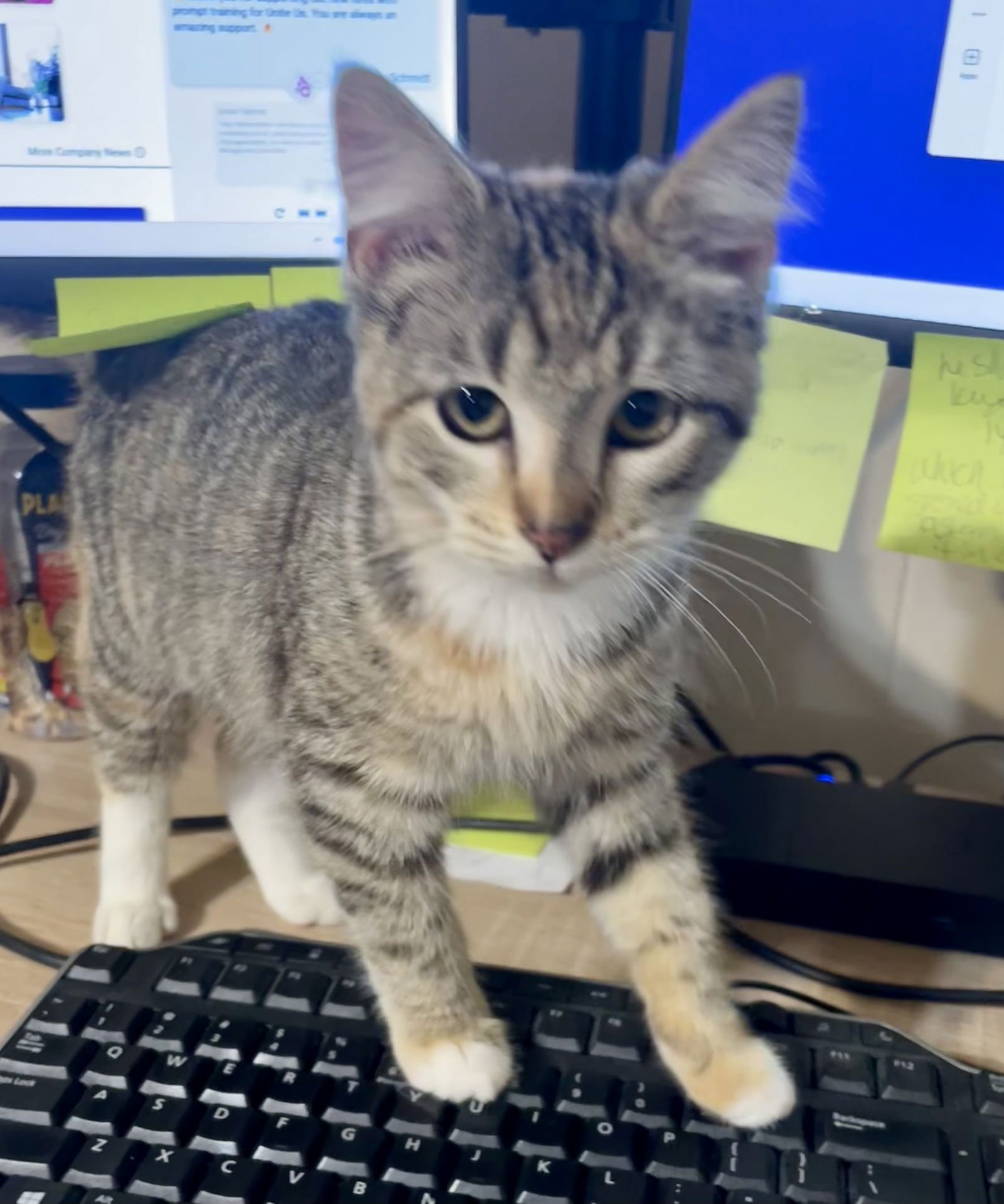 Jasmine LOVE BUG! - Photo 4