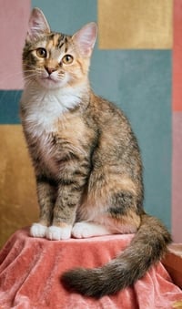 Ella Mae - Photo 3