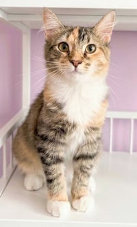 Ella Mae - Photo 4
