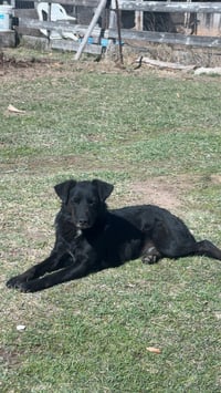 Luna - Photo 1