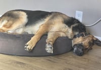 Duncan - Photo 4