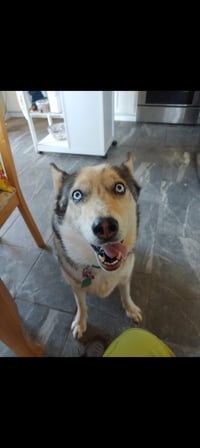 Stella - Photo 1