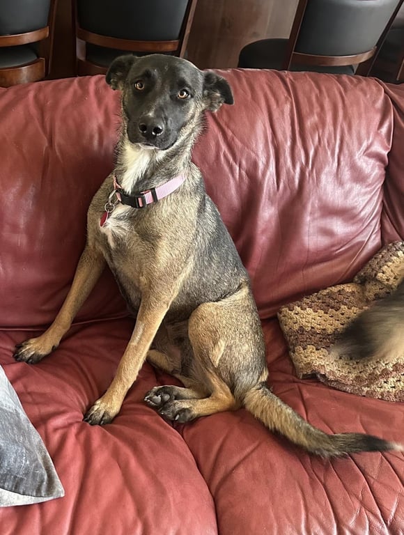 Rita/Maggie May Image
