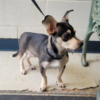 LITTLE ERIC - Photo 1