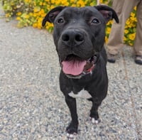 BABY - Photo 1
