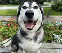RAIDER - Photo 1