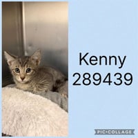 KENNY - Photo 1