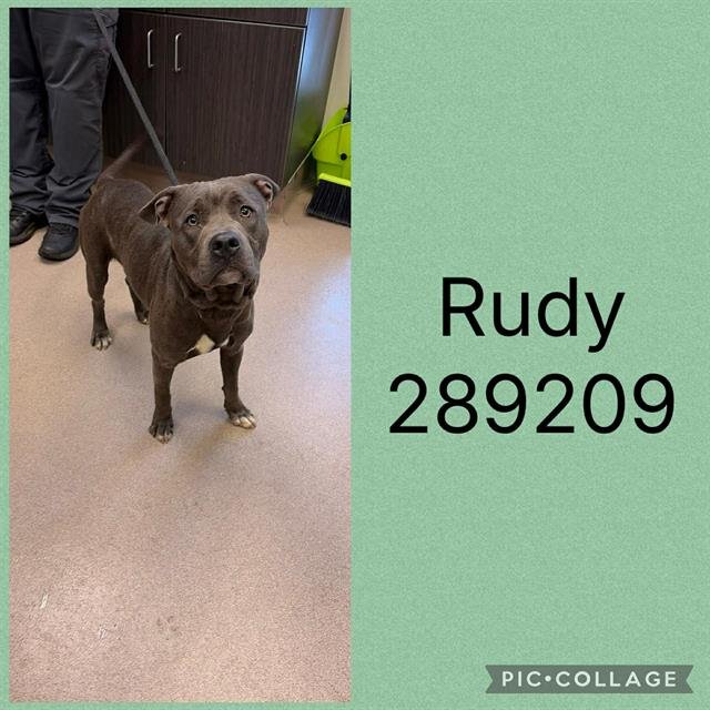 RUDY Image