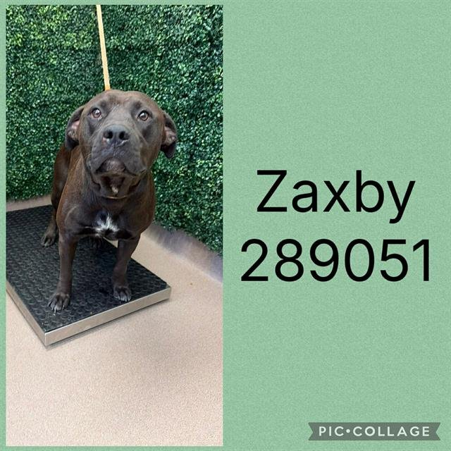 ZAXBY Image