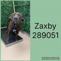 ZAXBY - Photo 1