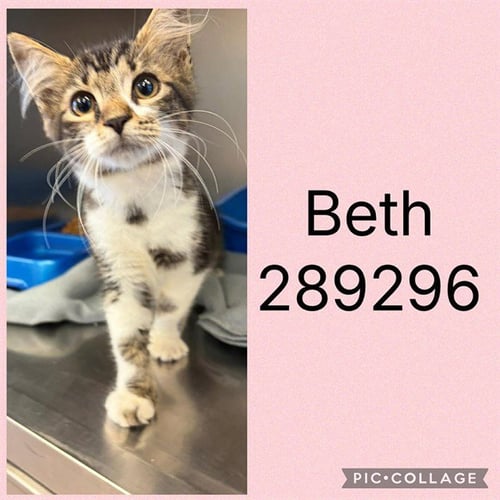 BETH