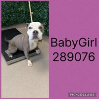 BABY GIRL - Photo 1