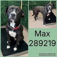 MAX - Photo 1