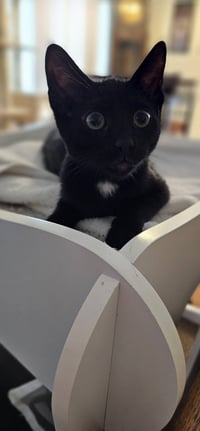 Greg Brady - Photo 1
