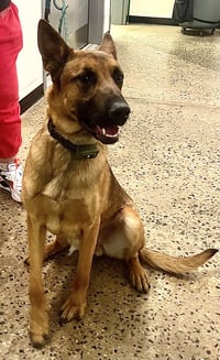 TAZ - “Handsome Prince” - Photo 2