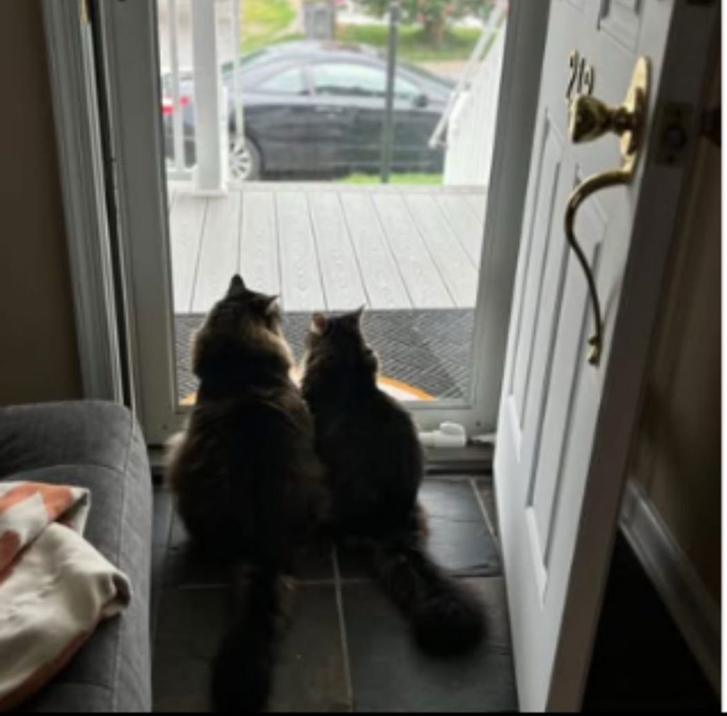 Sissy & Maui - Photo 4