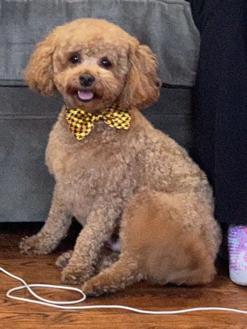 TOBY