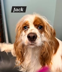 Jack and Jill - Photo 3