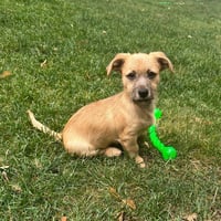 Oakley - Photo 1