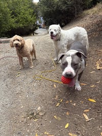 Cliffy - Photo 4