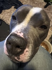 Zeus - Photo 3