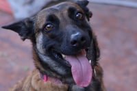 Cheyenne - Photo 2
